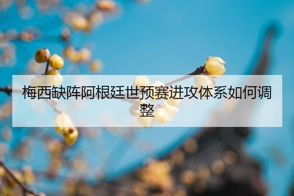 mei-xi-que-zhen-a-gen-ting-shi-yu-sai-jin-gong-ti-xi-ru-he-tiao-zheng-3-782.jpg